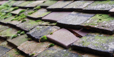 Llangoedmor roof repair costs